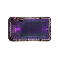 Плавательный спа бассейн Vortex Spas Aquagym PRO